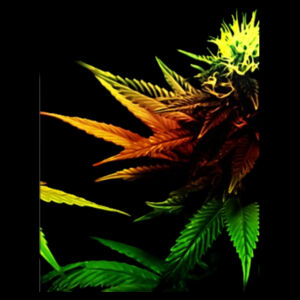 "DA BUD" - JB's Ladies Fleecy Hoodie Design